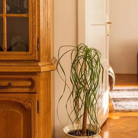 Spacious Parkfront Appartement *